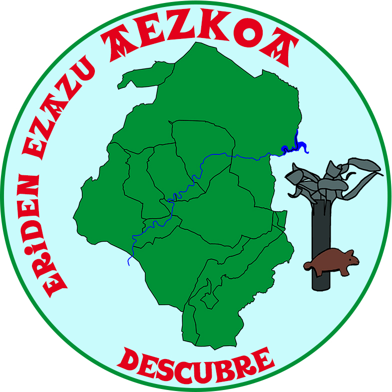 Descubre Aezkoa