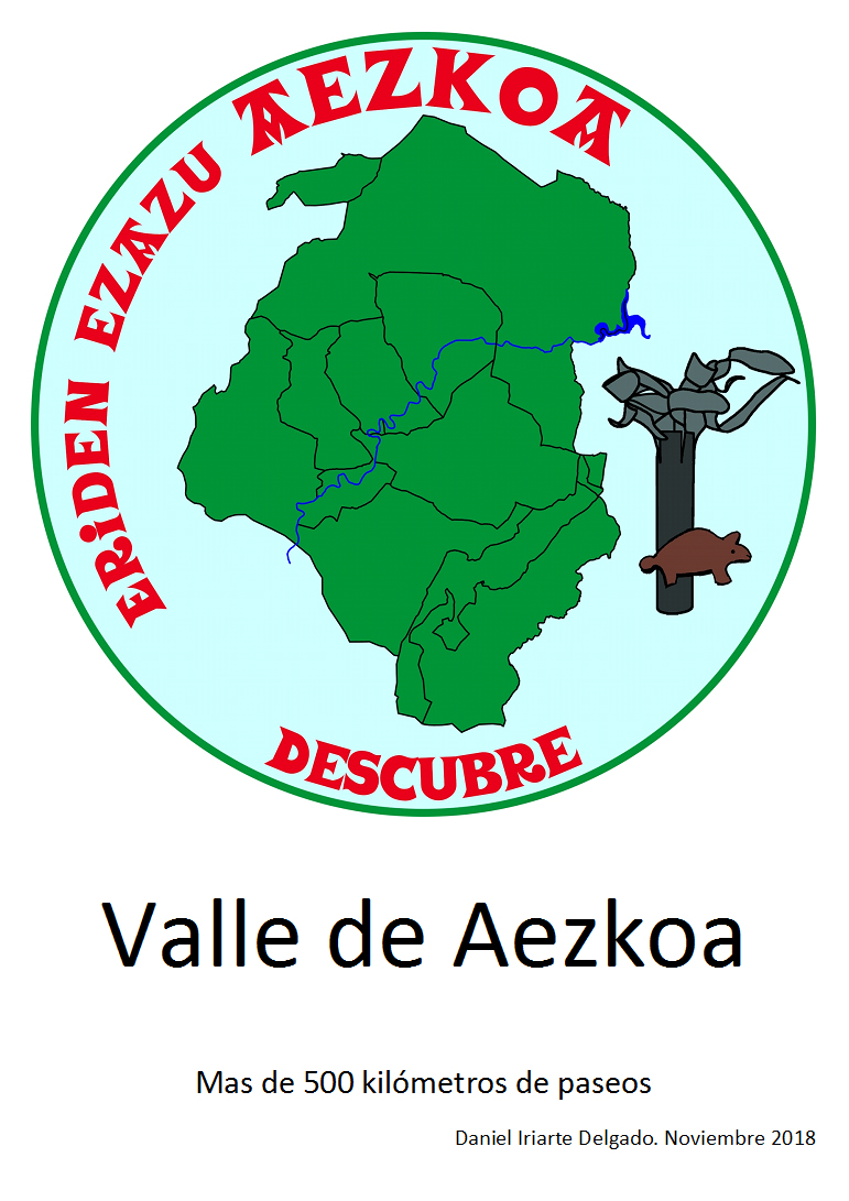 Proyecto Aezkoa
