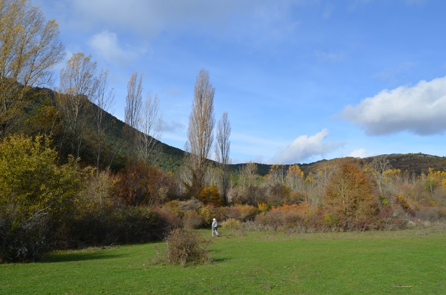 Paseo micológico primaveral por el soto fluvial de Nagore (Valle de Arce)