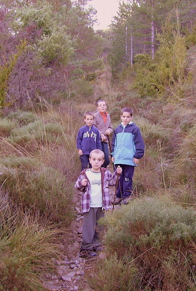Foto